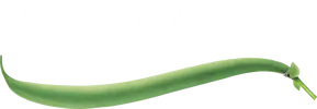tibits.ch